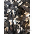 말린 버섯 morchella vulgaris